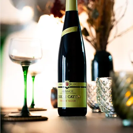 Nid D'émeraude - Votre Escale Cosy à Appartamento Haguenau