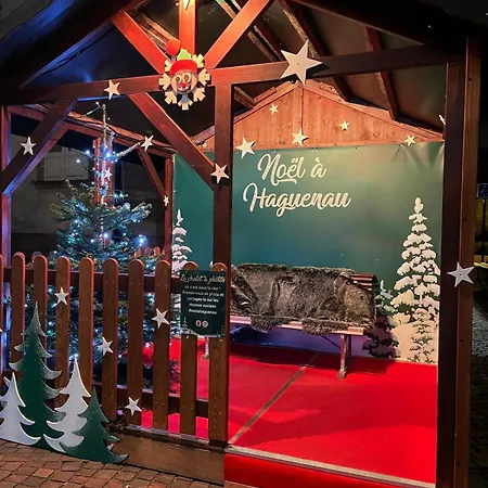 Apartment Nid D'emeraude - Votre Escale Cosy A Haguenau