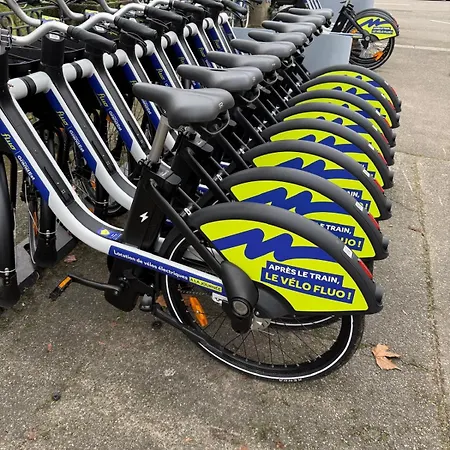 Nid D'émeraude - Votre Escale Cosy à * Haguenau